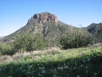 Squaw Peak